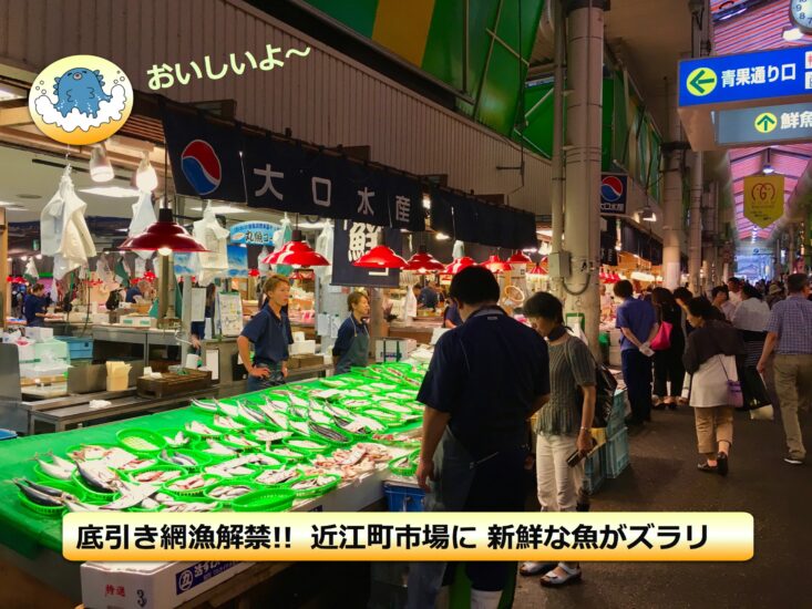 底引き網漁解禁!!　金沢･近江町市場に新鮮な魚が並んでいます!!