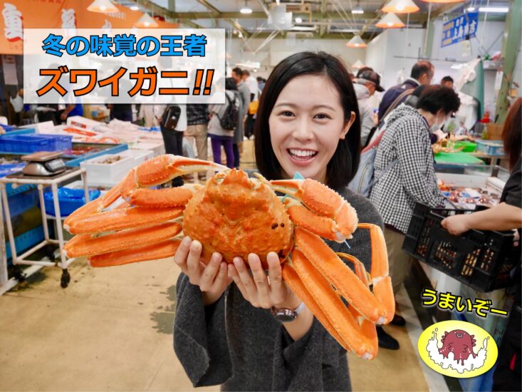 金沢港いきいき魚市はズワイガニだらけ!!