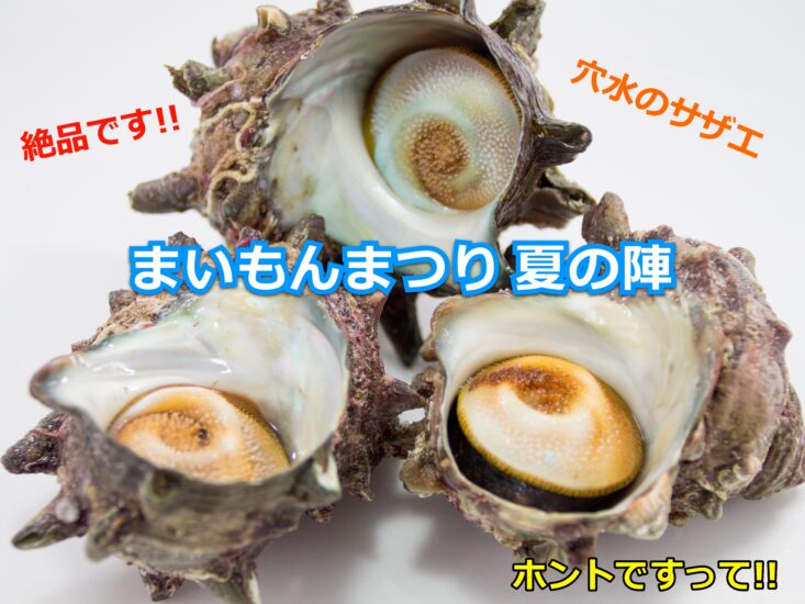 能登・穴水名物「まいもんまつり」夏の陣は、サザエです!!