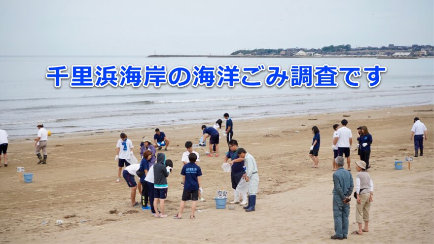 千里浜海岸に漂着した海洋ごみの調査です