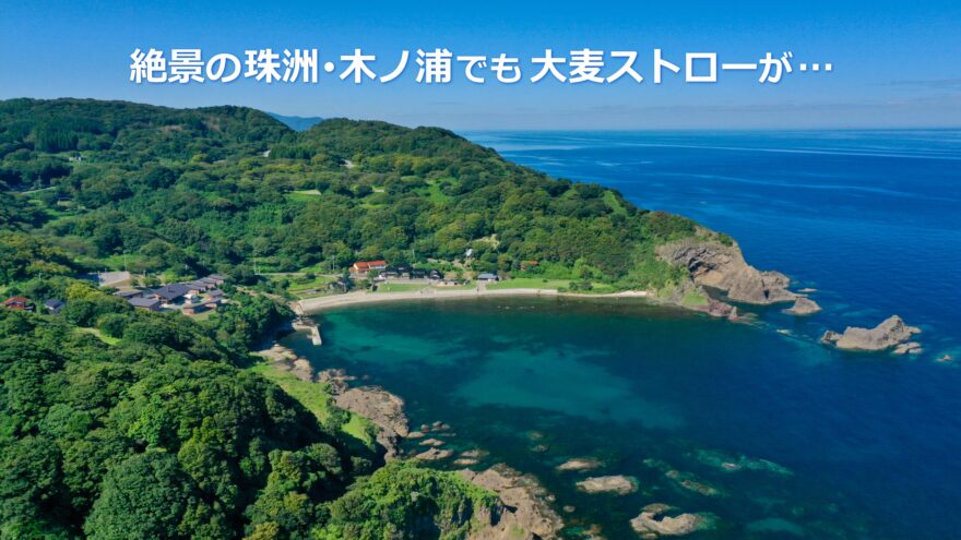 能登半島随一の絶景!!　珠洲･木ノ浦の3店舗も大麦ストローを採用