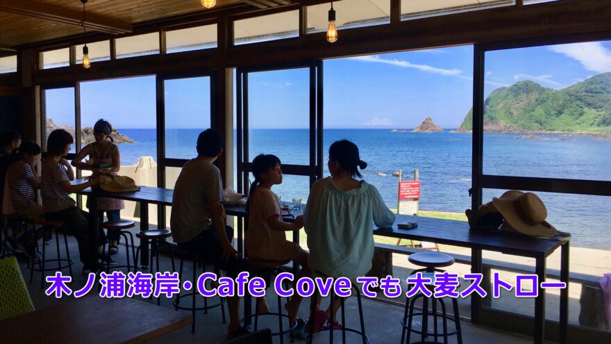 木ノ浦海岸に面した「Cafe Cove」も、もちろん。