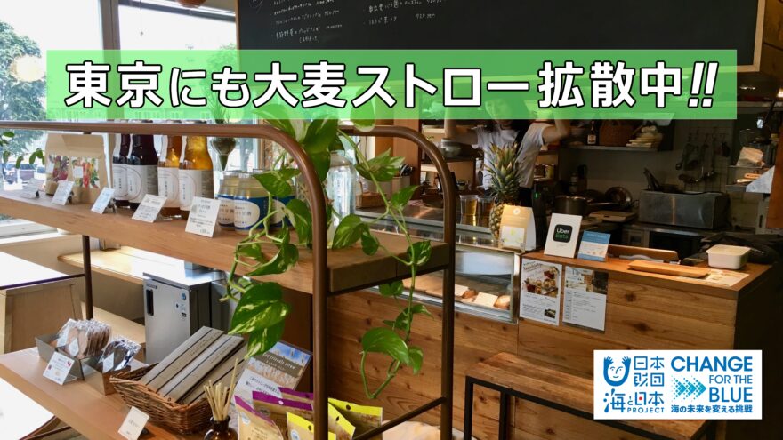 東京都心でも大麦ストローが買えます!!