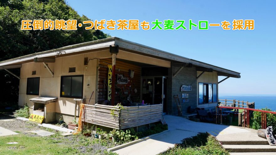 堂ヶ崎海岸の絶景を望む「つばき茶屋」も大麦ストロー採用