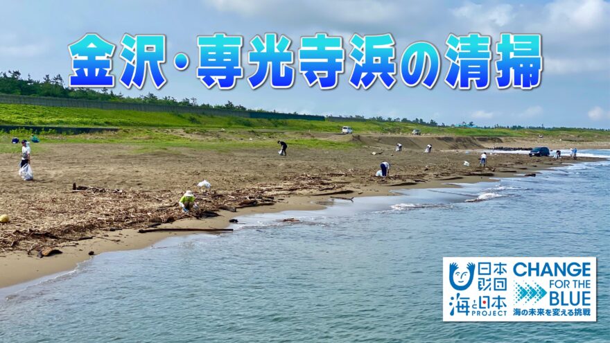 金沢･専光寺浜の海洋プラごみ清掃