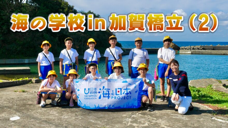 海の学校 in 加賀橋立(2)　橋立の海と魚を学ぶ