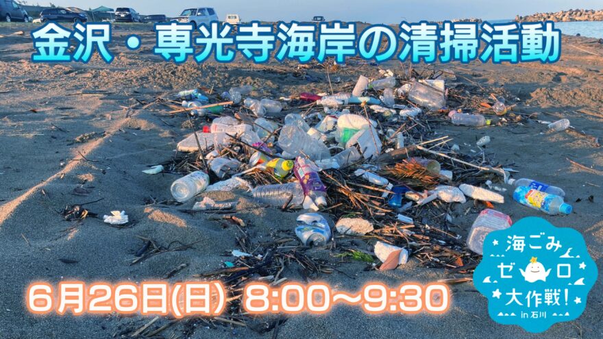 6月26日(日) 専光寺海岸の清掃を行います