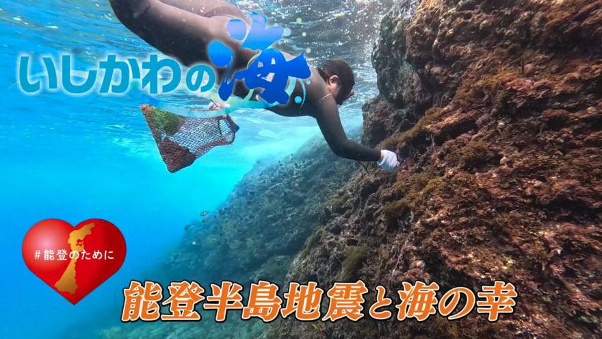 「能登半島地震と海の幸」をYouTubeに公開しました