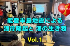 能登半島地震で隆起した海の生き物【Vol.1】