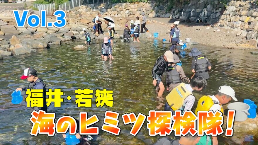 海のヒミツ探検隊 Vol.3　若狭湾の磯で自然観察