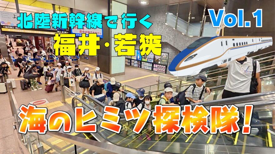海のヒミツ探検隊 Vol.1　若狭湾の魚を学んで触ってみよう